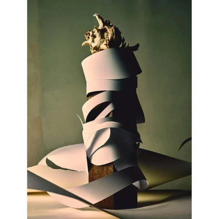 Seashell perched atop a wrapped wooden pillar intertwined with white paper ribbons against a muted green studio backdrop.