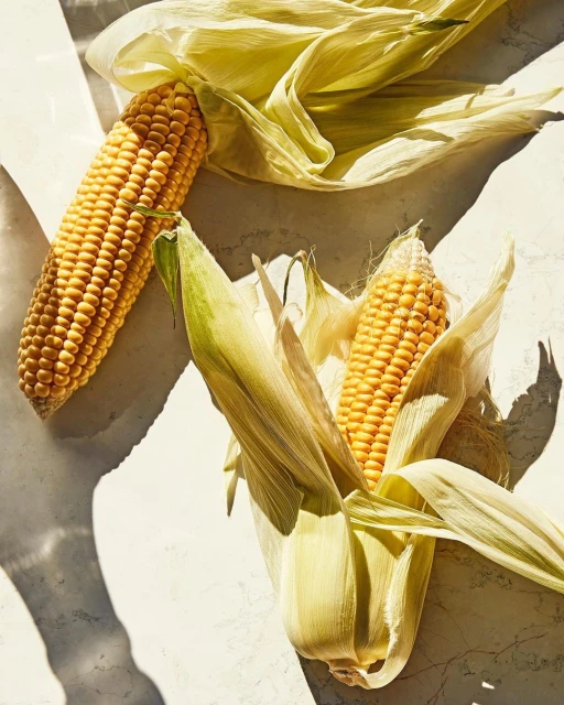 Overhead shot of two ears of corn with their husks, casting shadows on a neutral background, showcasing food photography.