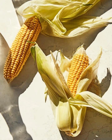 Overhead shot of two ears of corn with their husks, casting shadows on a neutral background, showcasing food photography.