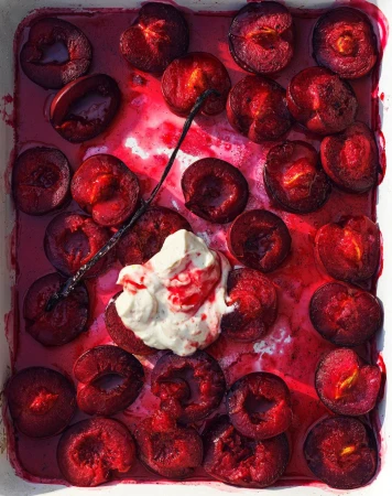 Overhead shot of halved plums in a white dish with cream and vanilla bean, arranged in rows, bathed in plum juice.