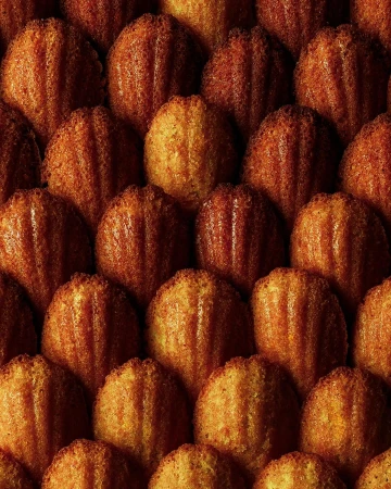Overhead close-up of evenly spaced golden brown madeleine cakes forming an abstract culinary pattern, showcasing their shell-like textures.