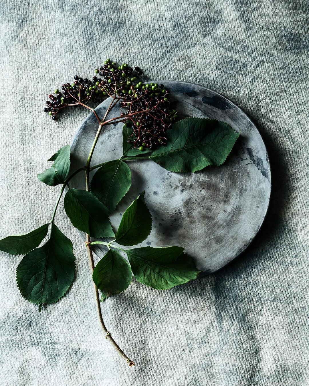 Overhead shot of a sprig of green leaves with black berries on a round grey plate, all on a light grey fabric background.