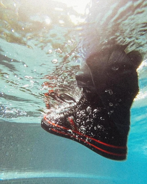 Underwater view of a black sneaker with red stripes, partially submerged in a swimming pool, with bubbles surrounding it.