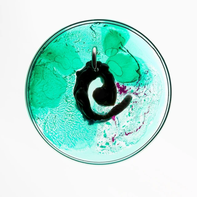 Overhead studio shot of a green liquid in a petri dish containing a black object attached to a silver ring, set against a white background.