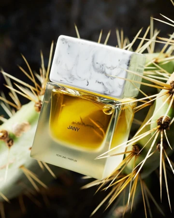 Square glass perfume bottle with a white marble cap nestled among the spiky green pads and long sharp needles of a prickly pear cactus.