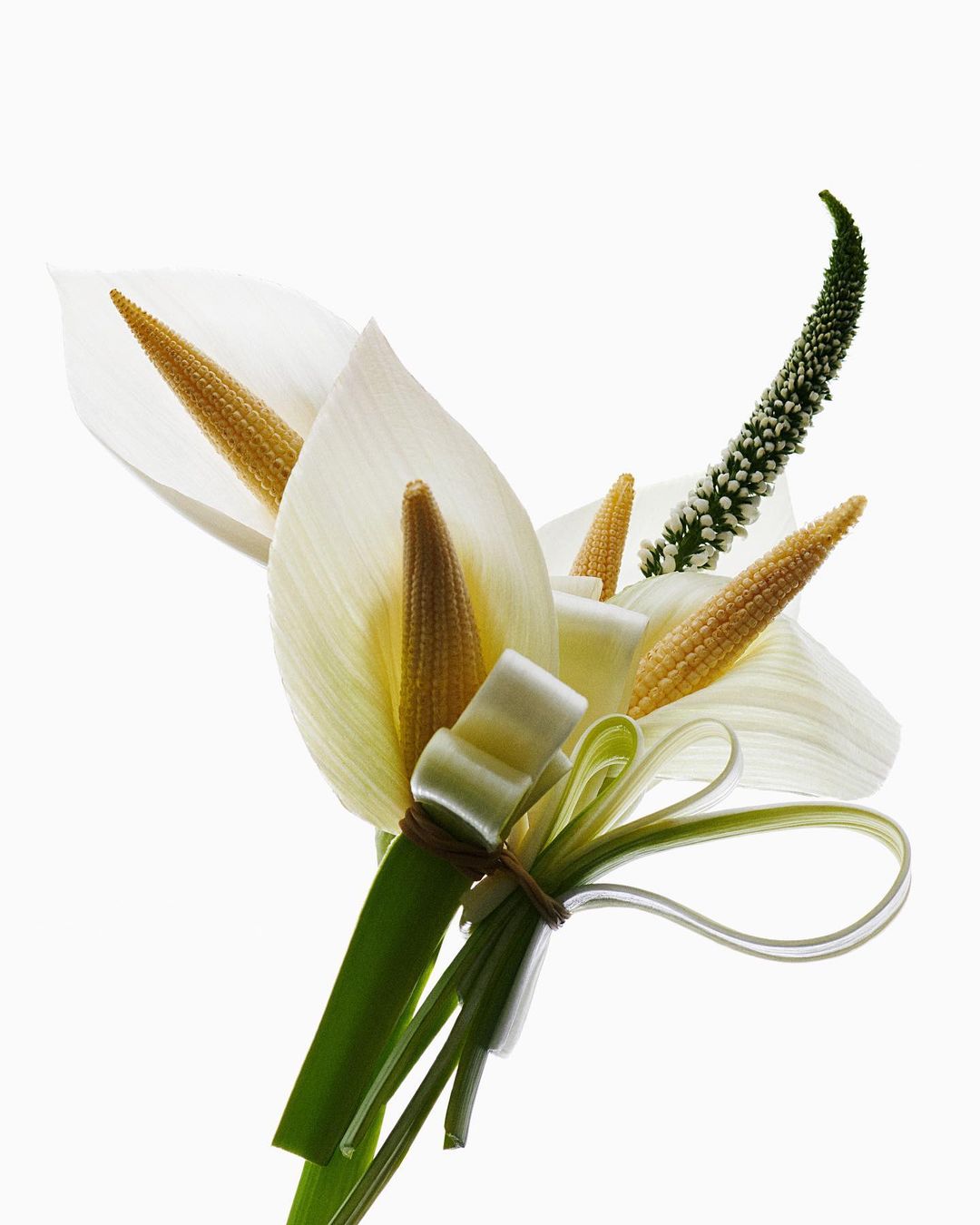 Still life shot of an arrangement featuring white calla lilies and baby corn stalks against a bright white background with soft lighting.