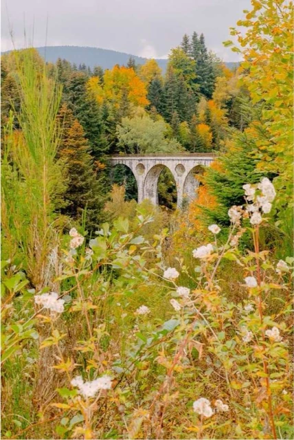 Stone arch bridge stretches across a forest in autumn, surrounded by colorful trees in an idyllic outdoor setting, on an overcast day.