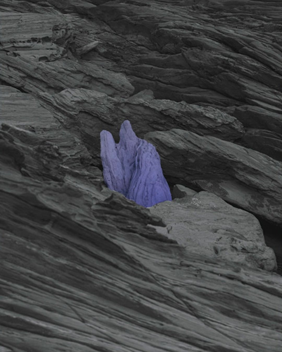 Monochrome abstract landscape with a textured rock formation, one purple rock stands against the black and gray shale background.