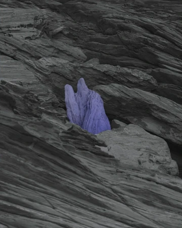 Monochrome abstract landscape with a textured rock formation, one purple rock stands against the black and gray shale background.