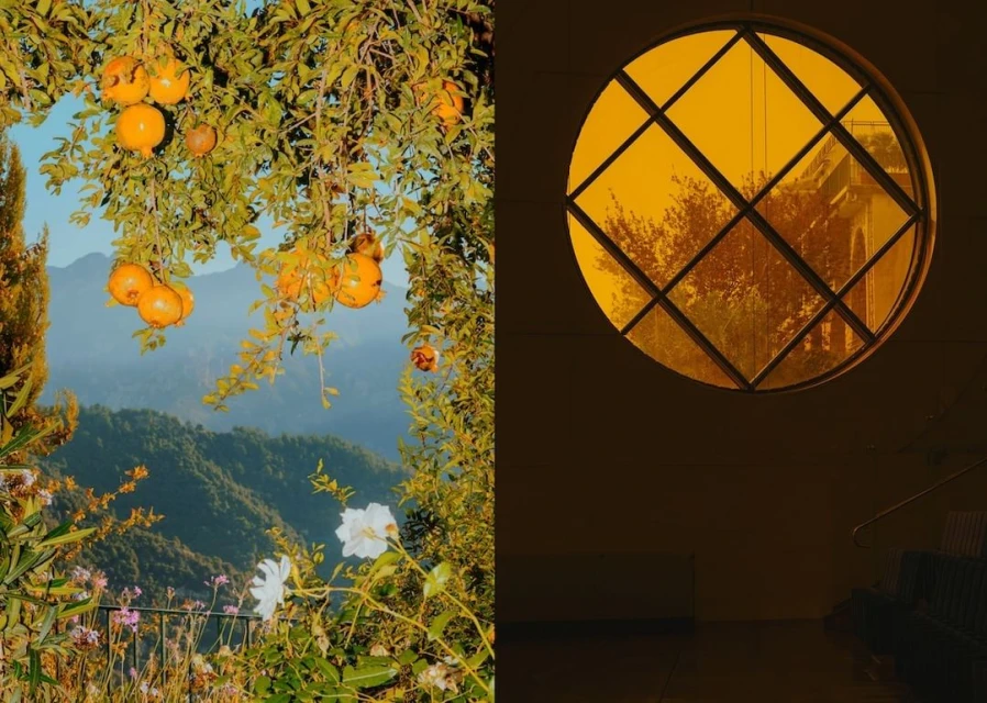 Split image with oranges on tree against mountain backdrop and yellow-tinted glass window with building view. Nature and architecture.