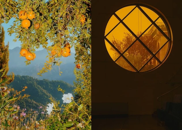 Split image with oranges on tree against mountain backdrop and yellow-tinted glass window with building view. Nature and architecture.