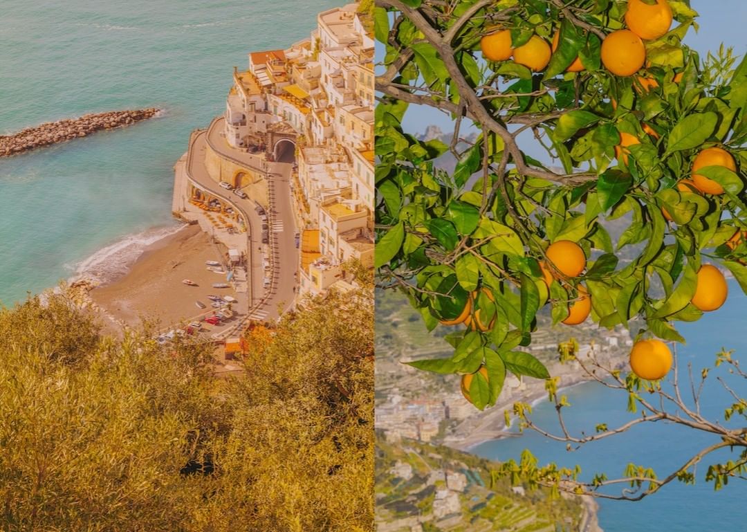 Coastal Italian village on a hillside with a winding road and a branch of oranges on a tree, half and half composition.