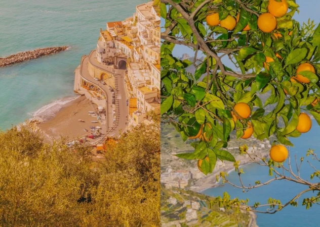 Coastal Italian village on a hillside with a winding road and a branch of oranges on a tree, half and half composition.