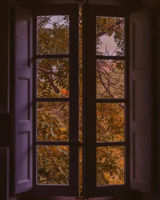 Open window with a view of lush green foliage, trees, and hints of a distant landscape, creating a peaceful indoor-outdoor connection.