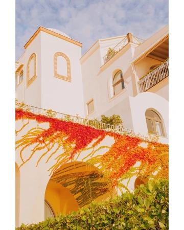 Exterior of a white stucco building with archways, windows, and a balcony, adorned with red and orange vine foliage under a blue sky.