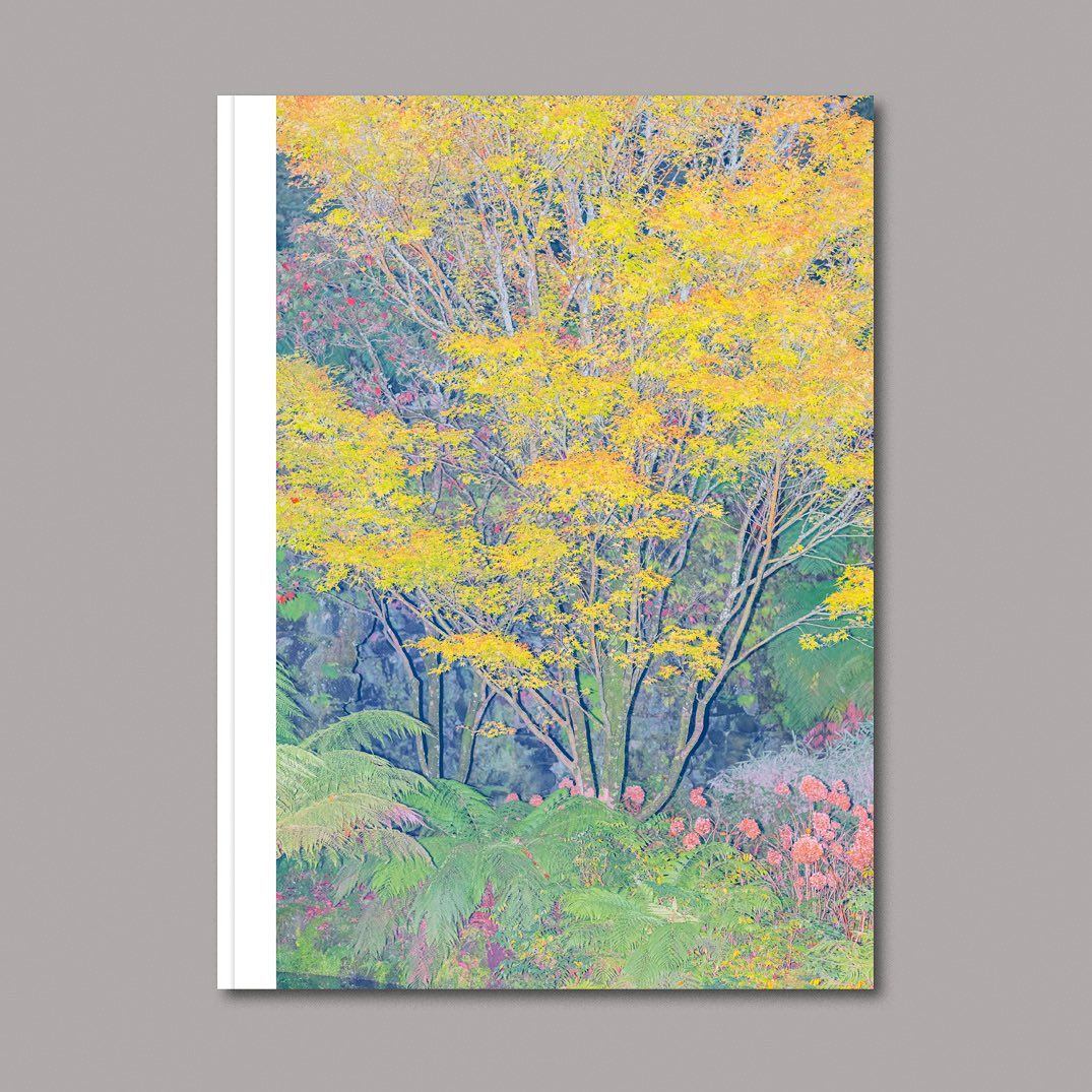 Artistic book cover with an illustration of a Japanese maple tree with vibrant yellow foliage in a lush, green garden setting.