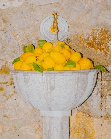 Close-up of a stone fountain filled with yellow lemons and green leaves under a brass faucet with dripping water.