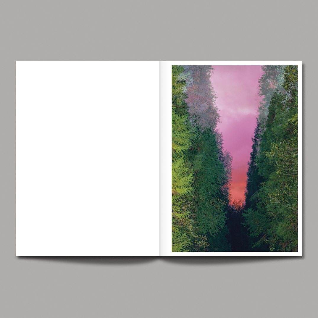 Open book double-page spread featuring a forest view with tall green trees and a soft pink sky, creating a serene and natural atmosphere.