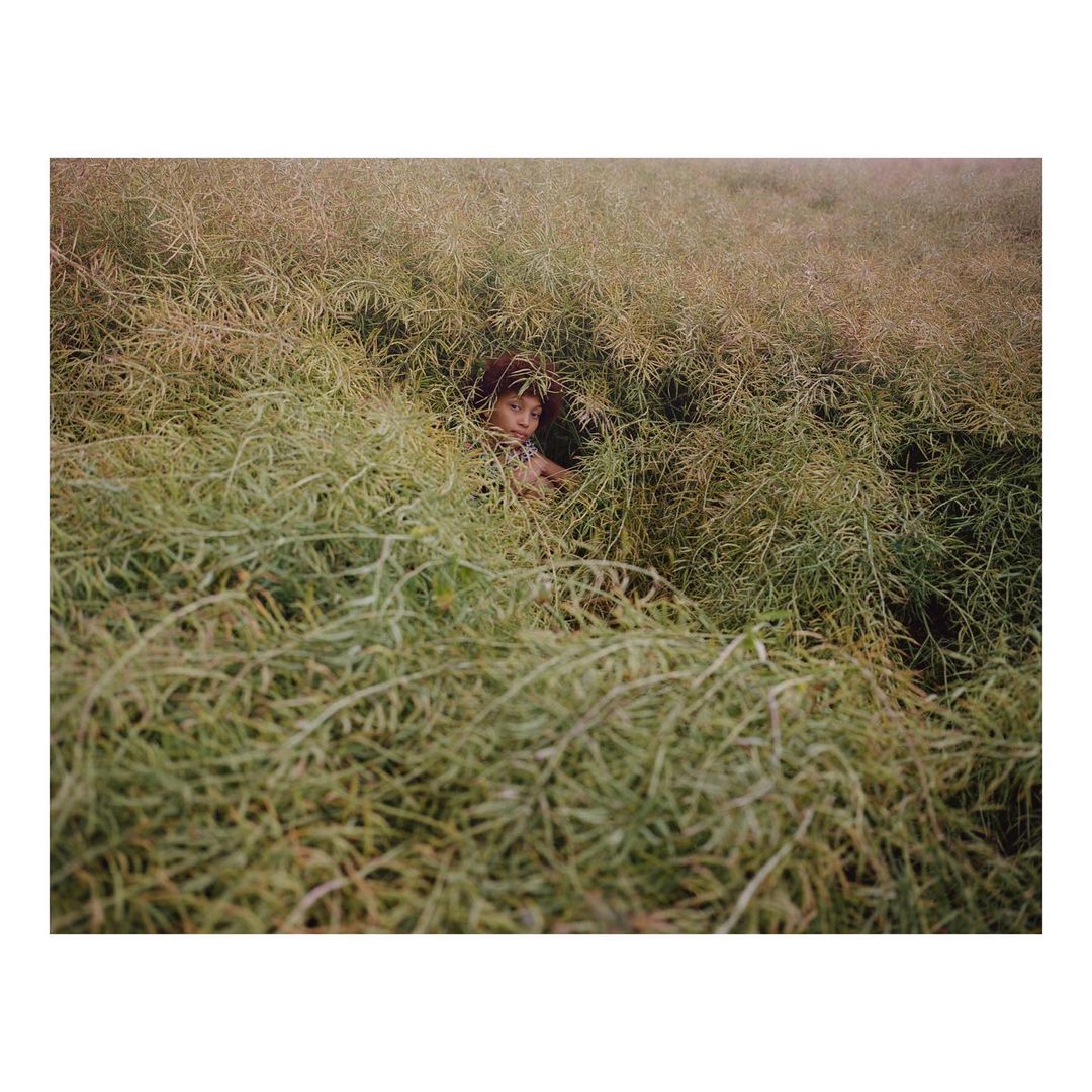 Child partially hidden in a field of tall, green, leafy plants in an outdoor environment, captured with a natural, slightly muted color palette.