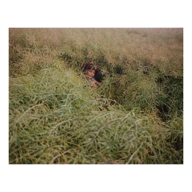 Child partially hidden in a field of tall, green, leafy plants in an outdoor environment, captured with a natural, slightly muted color palette.