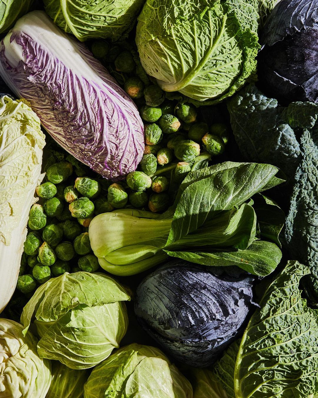Overhead shot of a colorful variety of fresh cabbages and brussel sprouts, creating a textured, natural food background.