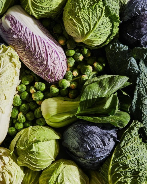 Overhead shot of a colorful variety of fresh cabbages and brussel sprouts, creating a textured, natural food background.