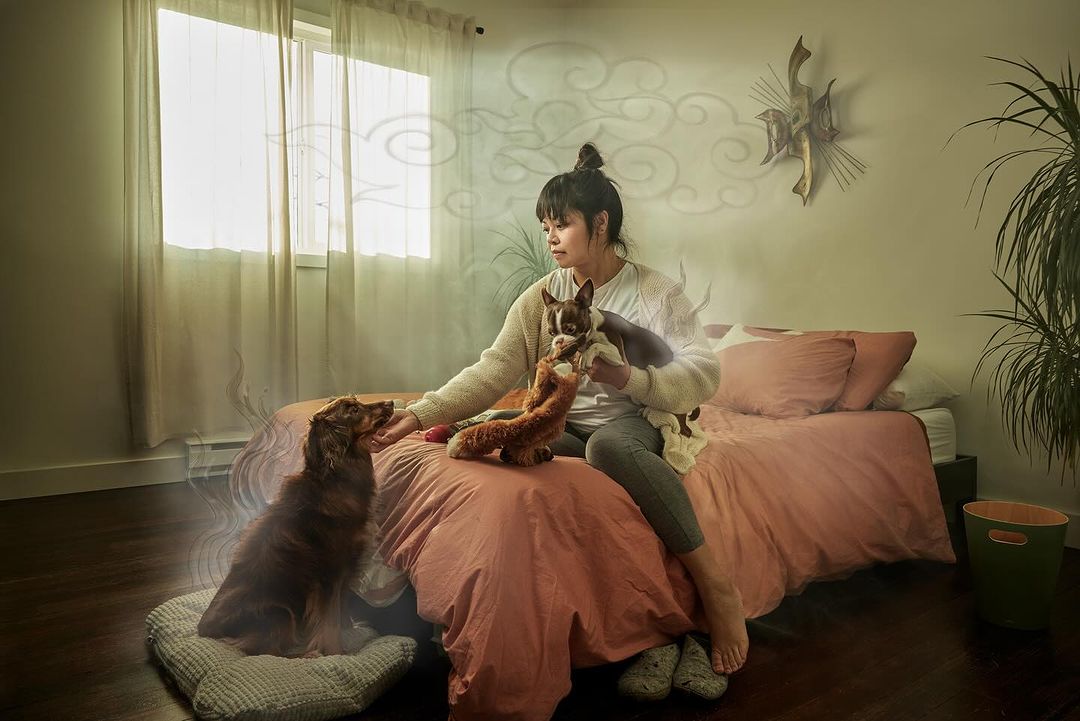 Woman sitting on a bed indoors with two dogs, one brown dog sits on the floor and another, smaller dog is held by the woman.