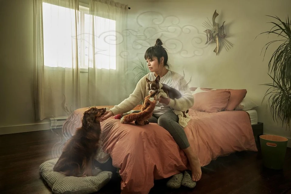 Woman sitting on a bed indoors with two dogs, one brown dog sits on the floor and another, smaller dog is held by the woman.