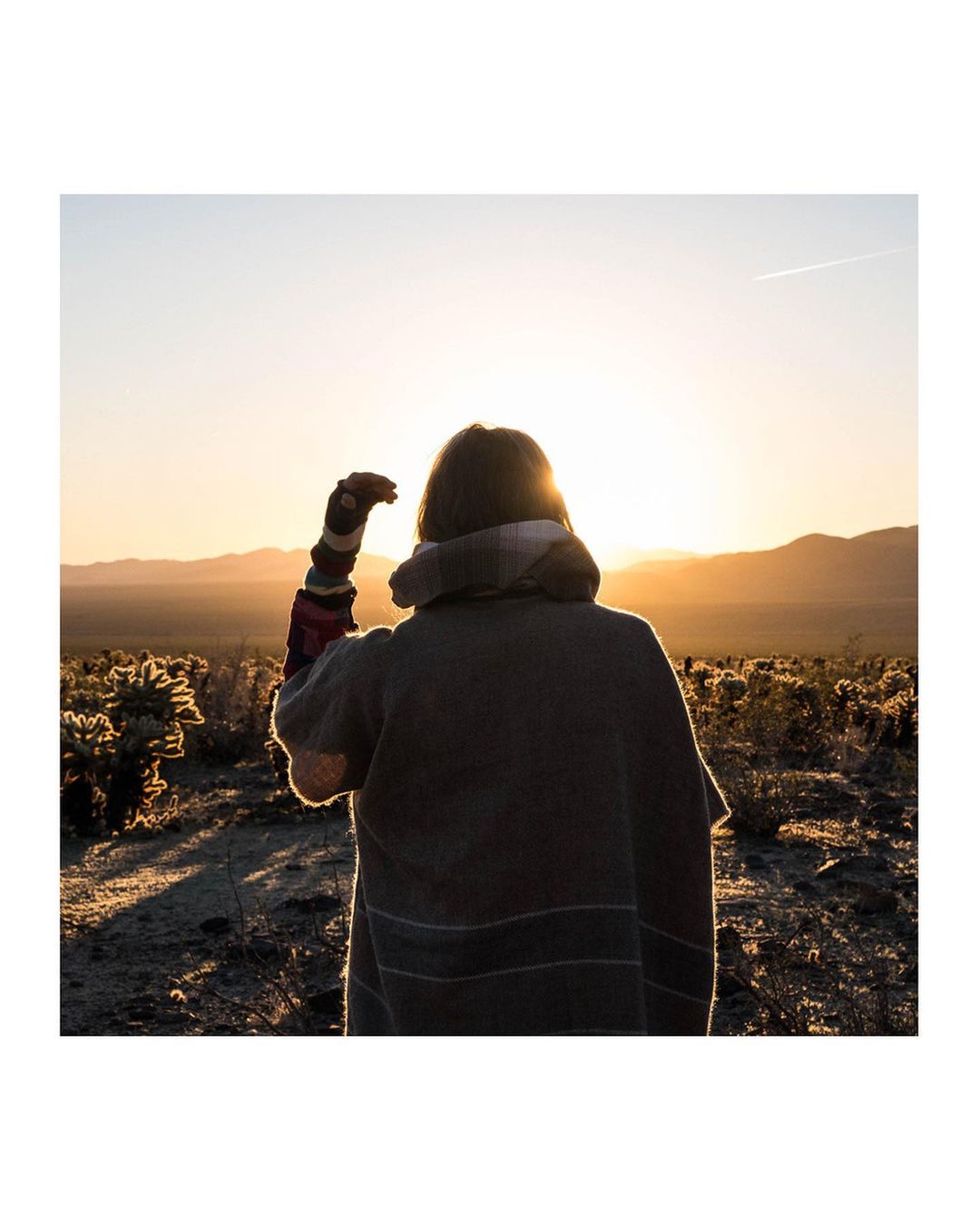 Back view of a person wearing a poncho looking out toward the sunset over a desert landscape with cacti and mountains in the distance.