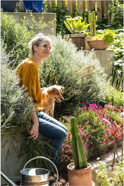 Woman and dog together in a lush garden with concrete planters, flowers, succulents, and a metal watering can on a sunny day.