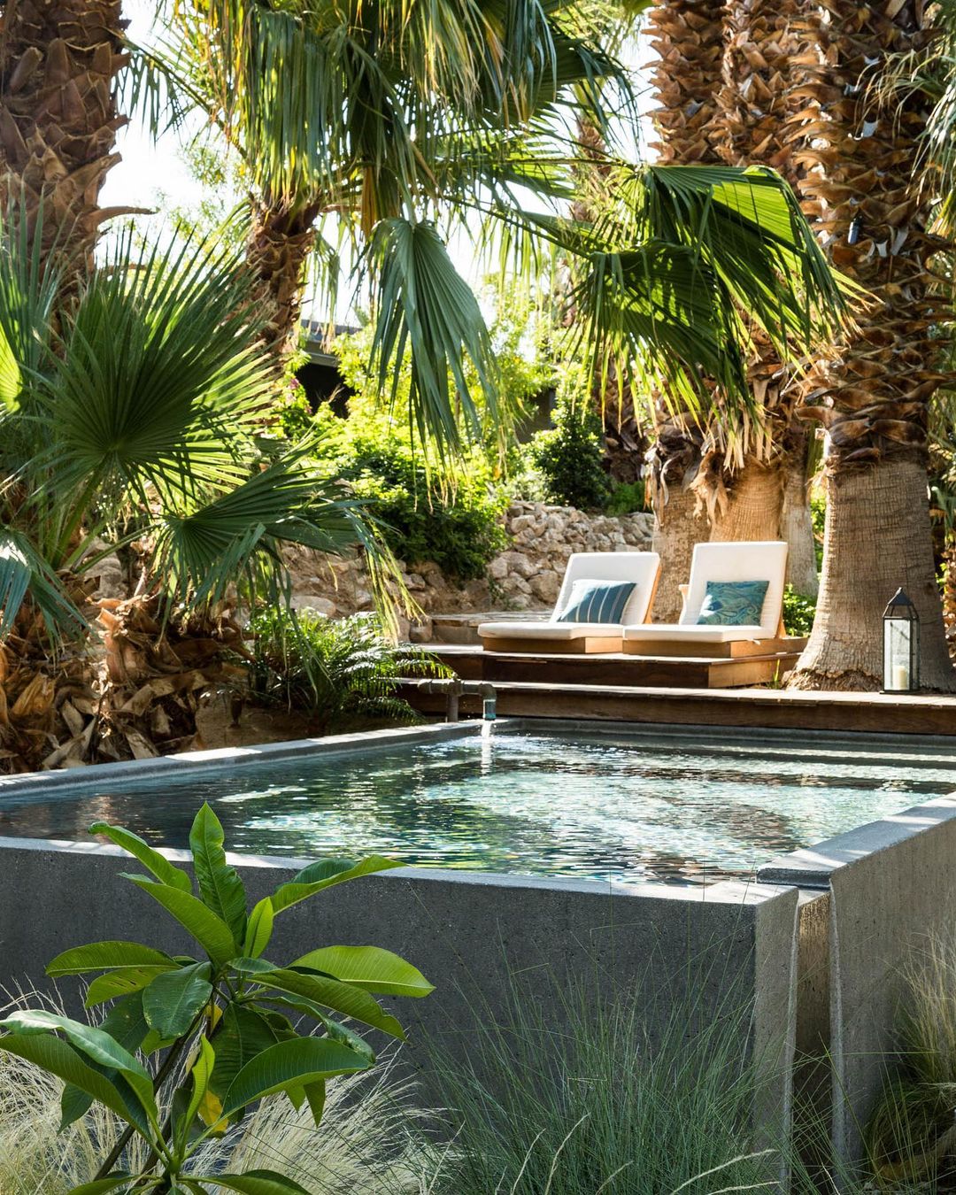 Outdoor swimming pool surrounded by palm trees with two empty lounge chairs with cushions on a wooden deck in the background.