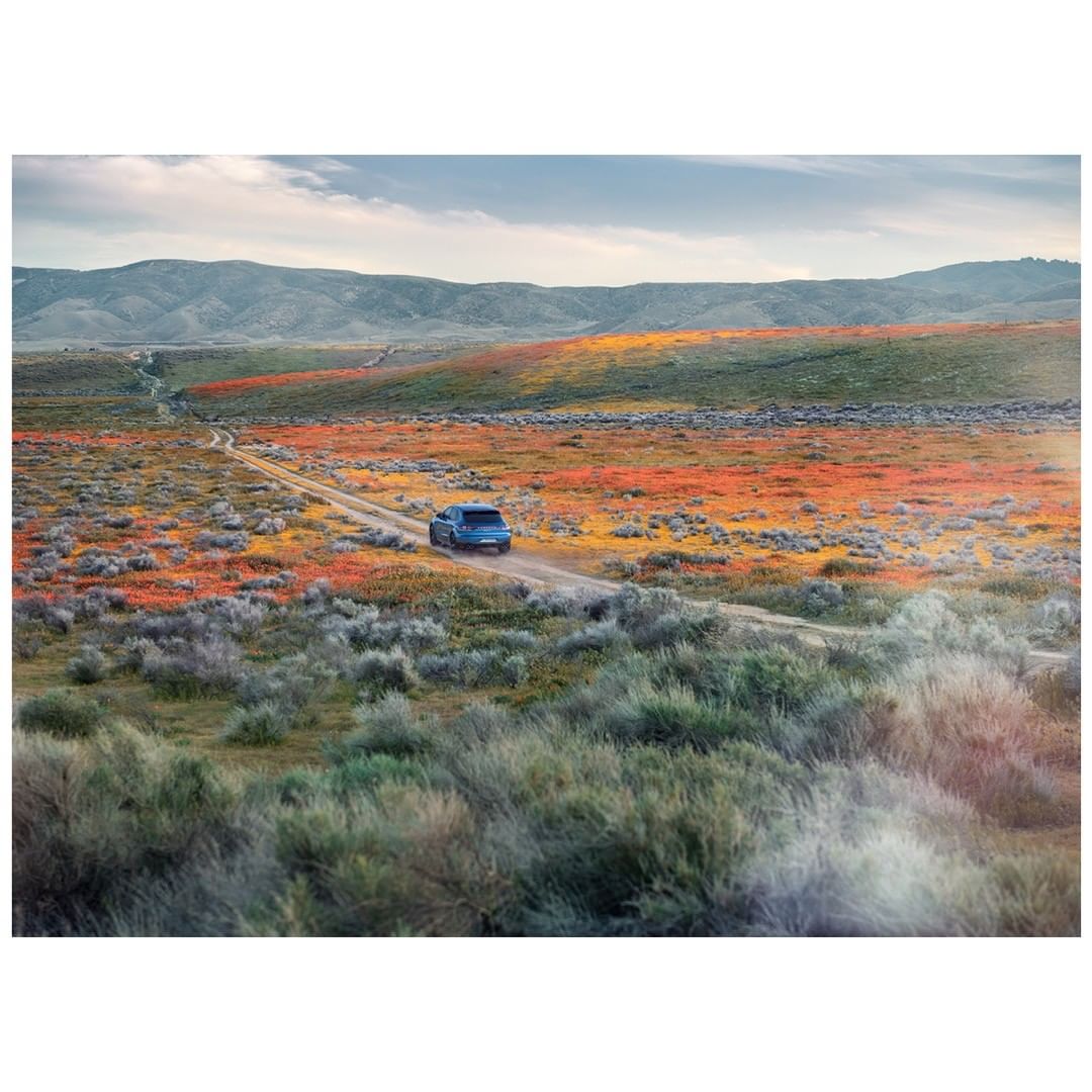 Blue SUV driving on dirt road through flower-filled field in a rural setting, with mountains in the background under a cloudy sky.