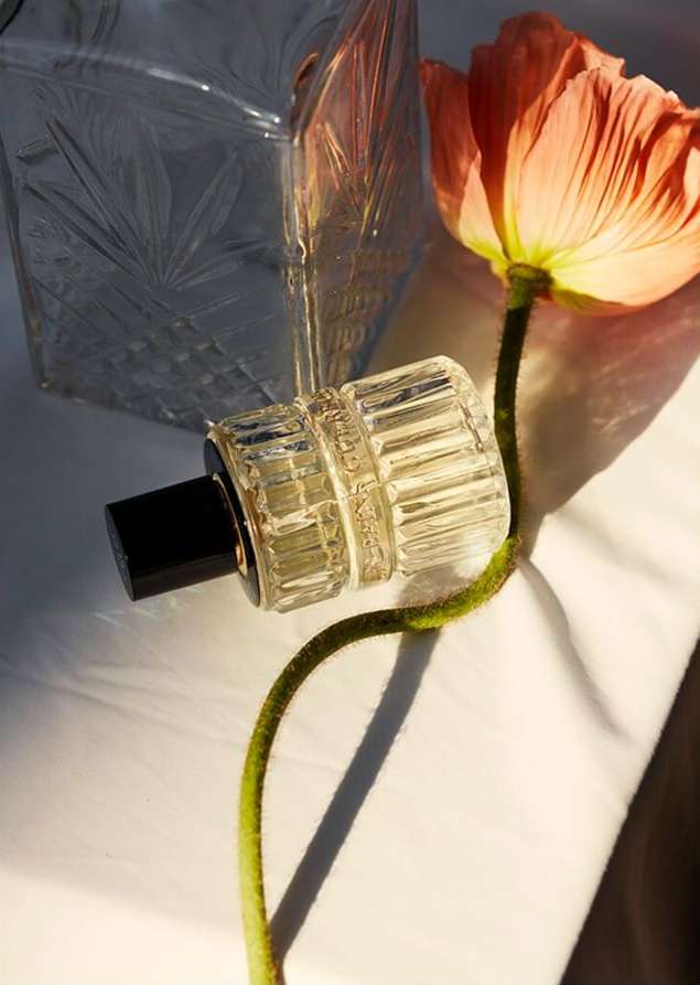 Artistic still life of a pink flower, perfume bottle, and crystal vase on a white tablecloth, highlighting natural light and textures.