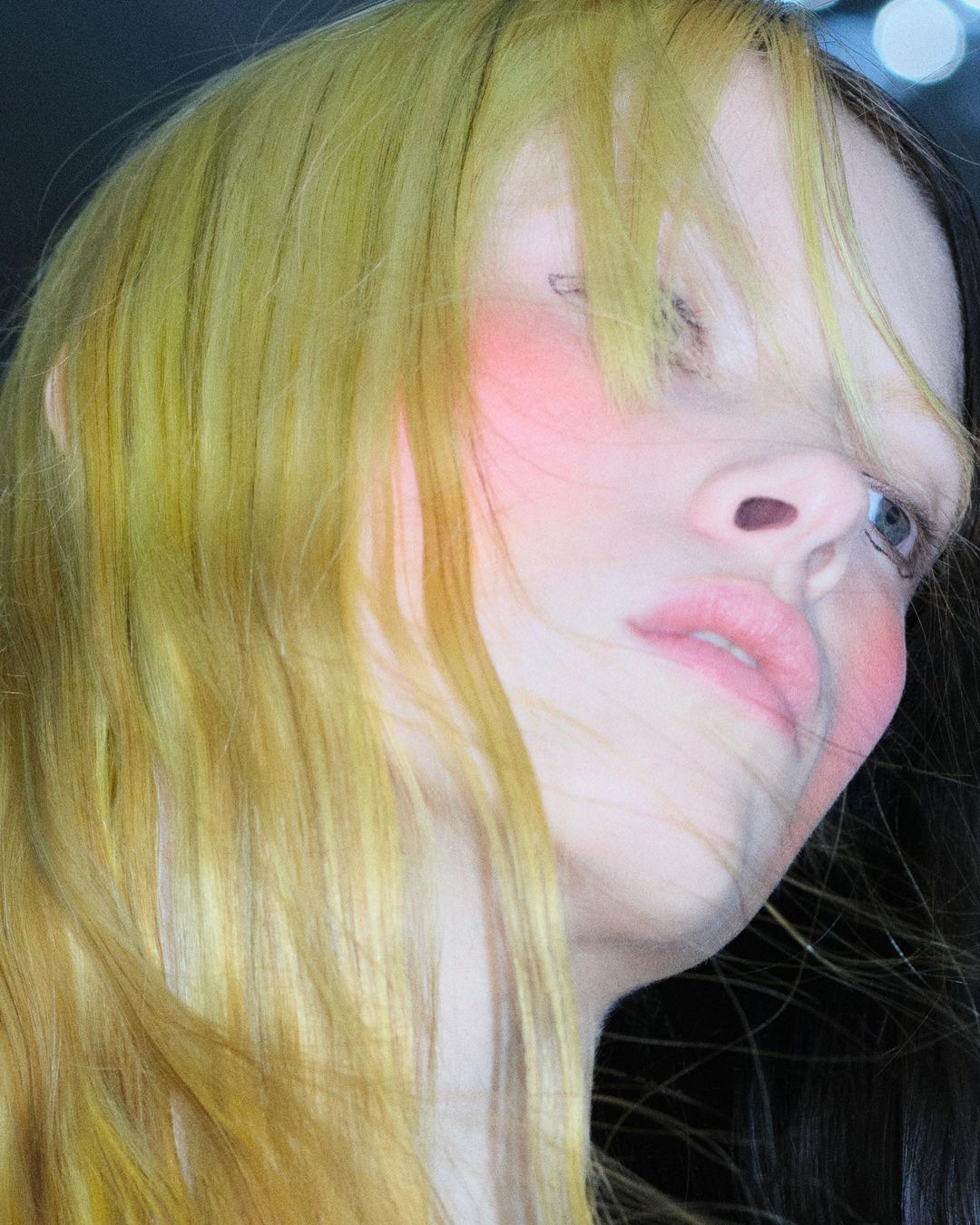 Close-up portrait of a young adult female with blonde and black hair, fair skin, and pink blush on her cheeks, gazing slightly downward.