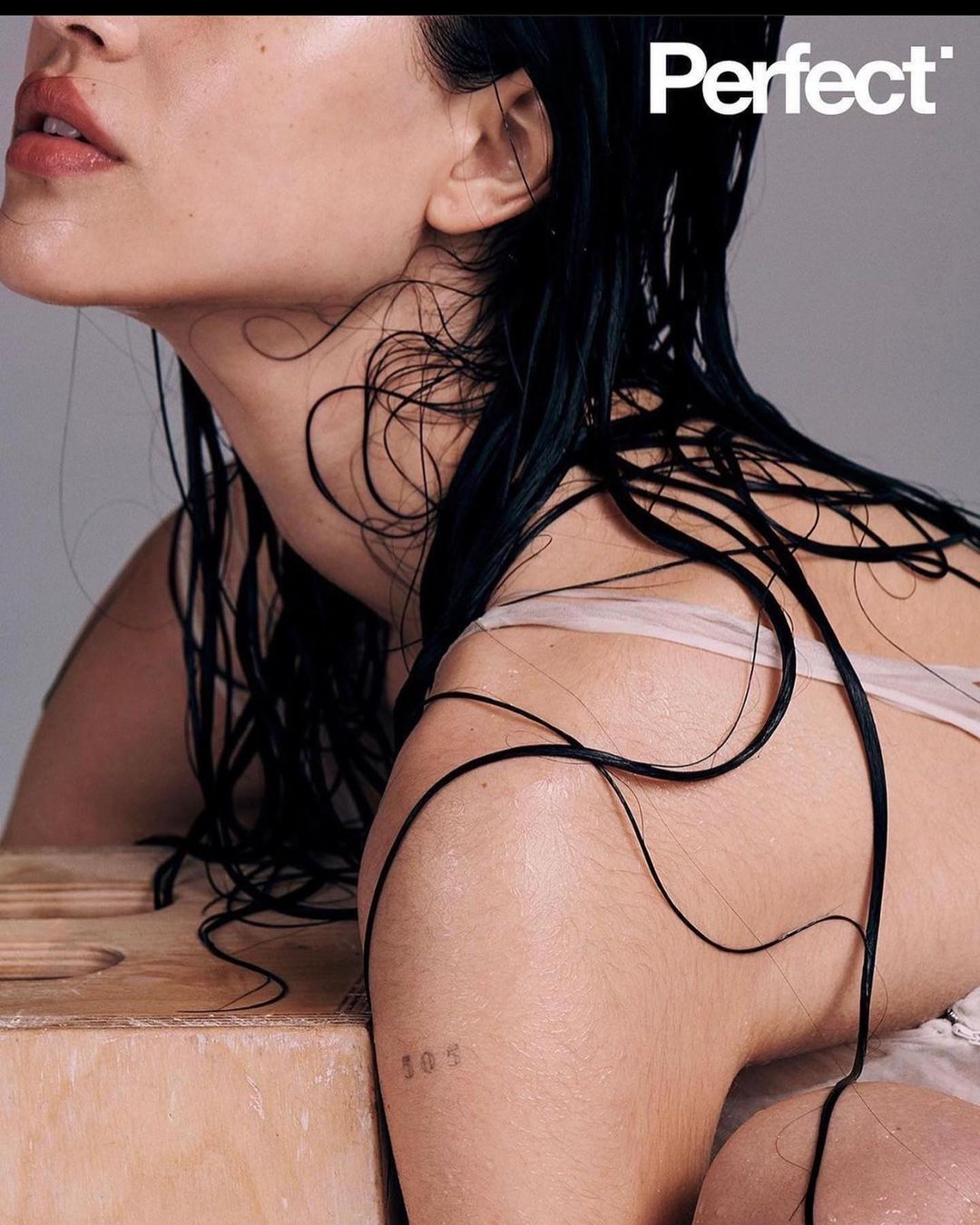 Close-up studio shot of a woman with wet dark hair, nude makeup, and bare shoulders, partially obscured by a wooden structure.