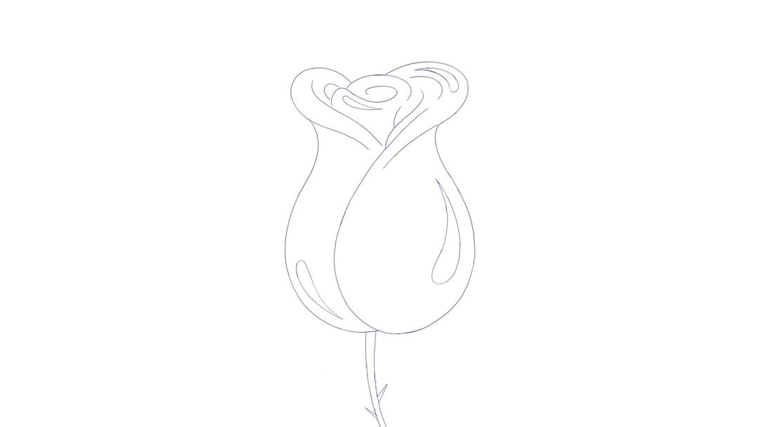 Illustration of a rose with a closed bud, drawn in fine lines on a white background, showcasing simplicity and botanical art.
