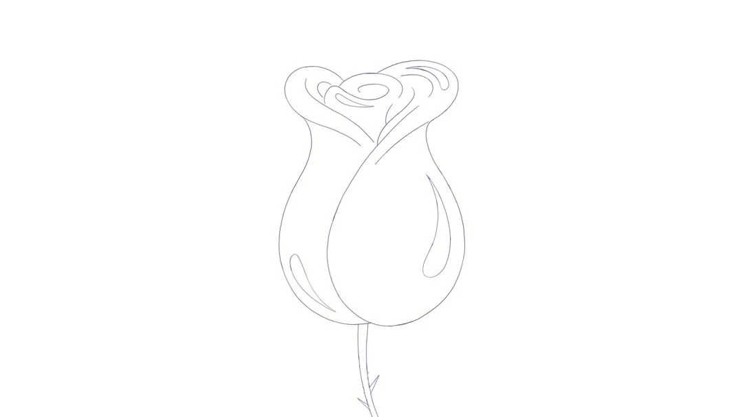Illustration of a rose with a closed bud, drawn in fine lines on a white background, showcasing simplicity and botanical art.