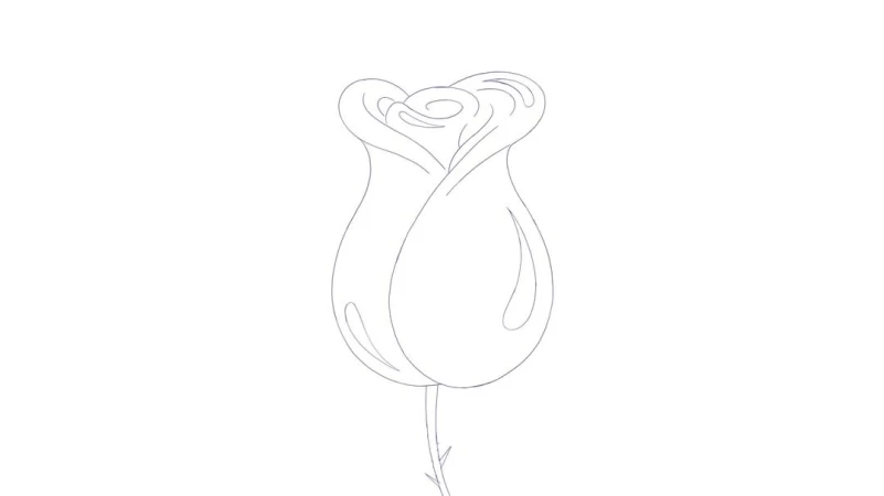 Illustration of a rose with a closed bud, drawn in fine lines on a white background, showcasing simplicity and botanical art.