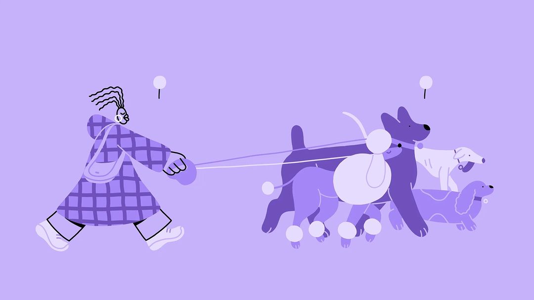 Illustration of a woman walking a group of dogs on leashes, depicted in a stylized, flat design with a limited color palette of purples.