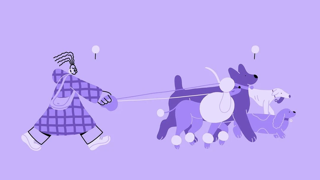Illustration of a woman walking a group of dogs on leashes, depicted in a stylized, flat design with a limited color palette of purples.