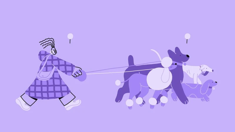 Illustration of a woman walking a group of dogs on leashes, depicted in a stylized, flat design with a limited color palette of purples.