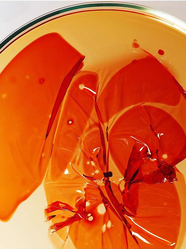 Abstract close-up of red and orange liquid and clear plastic material, shot indoors with studio lighting and shallow depth of field.