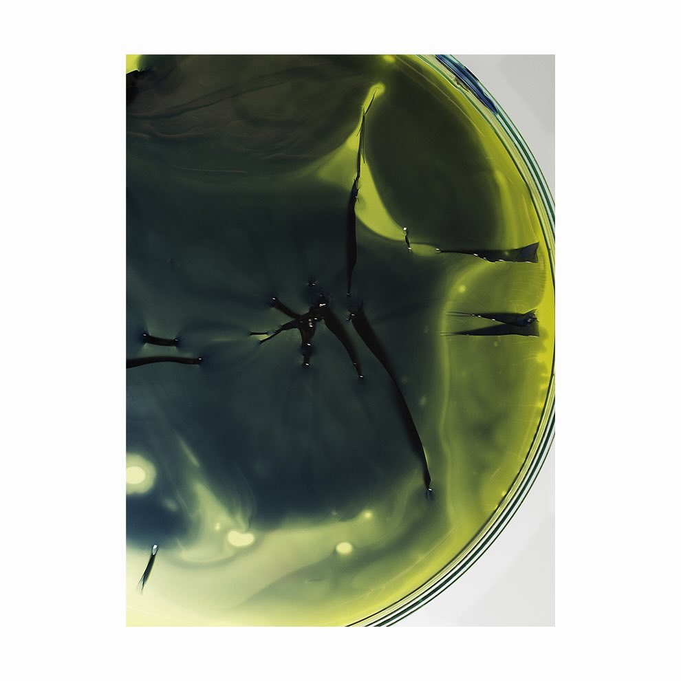 Abstract artwork with circular composition featuring flowing gradients of yellow, blue, and black ink creating an organic design.