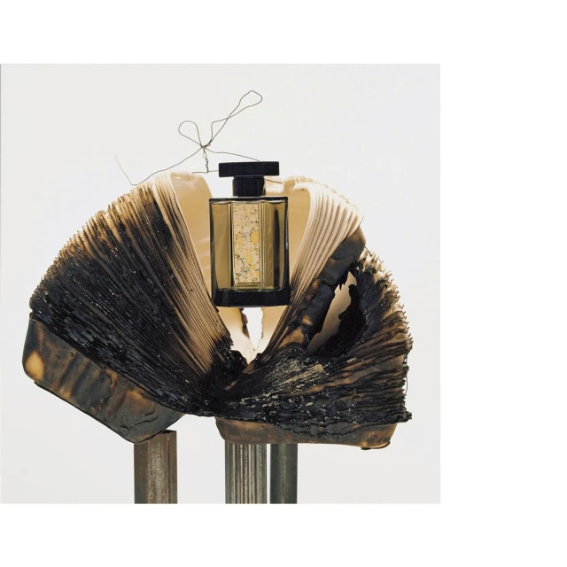 A bottle of perfume nestled within a book with scorched edges, set against a crisp white backdrop, photographed in a studio setting.