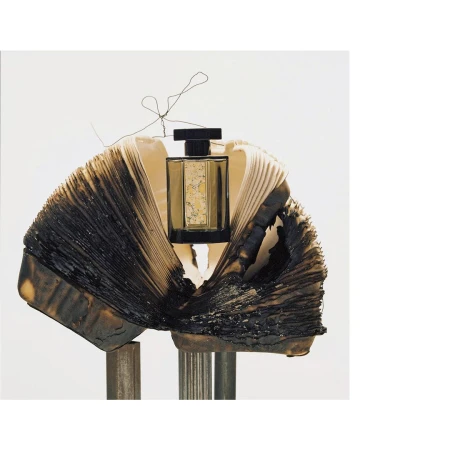 A bottle of perfume nestled within a book with scorched edges, set against a crisp white backdrop, photographed in a studio setting.