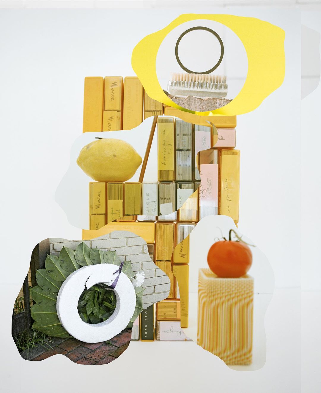 A surreal collage of citrus fruits, a tomato on a pedestal, a brush, and plants, all set against a bright white backdrop.
