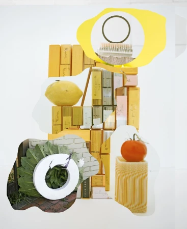 A surreal collage of citrus fruits, a tomato on a pedestal, a brush, and plants, all set against a bright white backdrop.