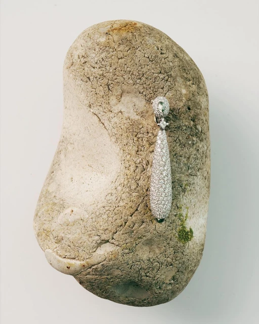 Elegant teardrop earring featuring sparkling gems on a textured rock against a plain background. Jewellery and natural elements.