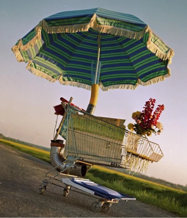 A shopping cart modified with a sun umbrella, flowers, and pipes on an outdoor road with a rural landscape in the background.