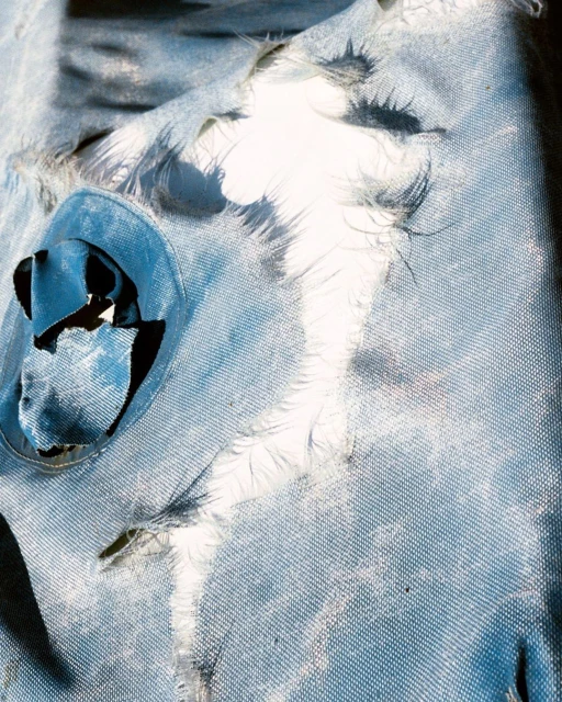 Close-up of distressed denim textile featuring rips and tears against a bright white backdrop, highlighting texture and damage.